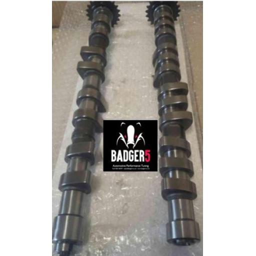 CatCams Performance Camshafts - Badgerspec