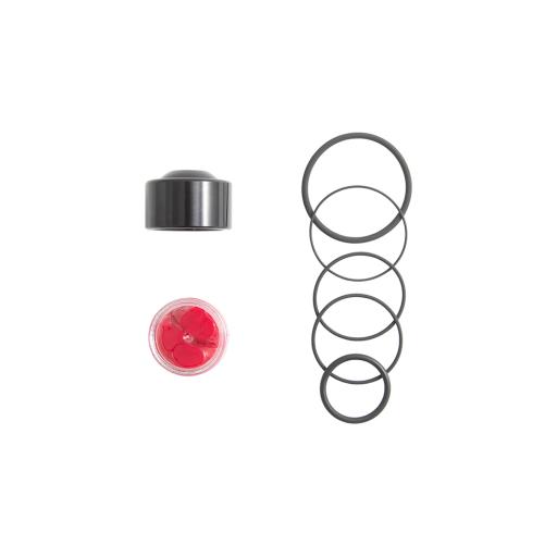 Valve Service Kit